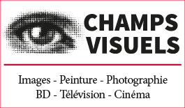 Champs visuels