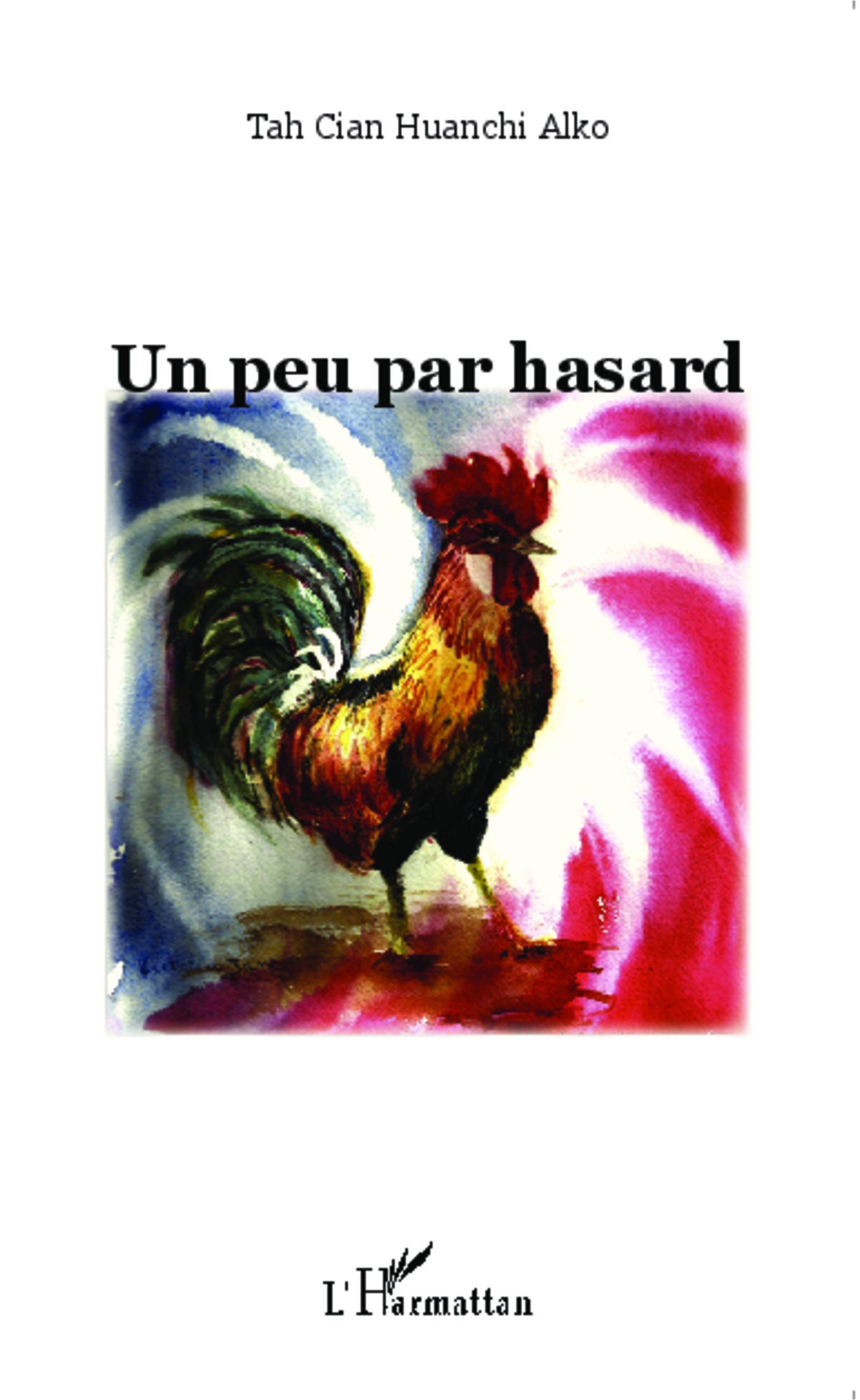 Un peu par hasard daniel Zaccari1