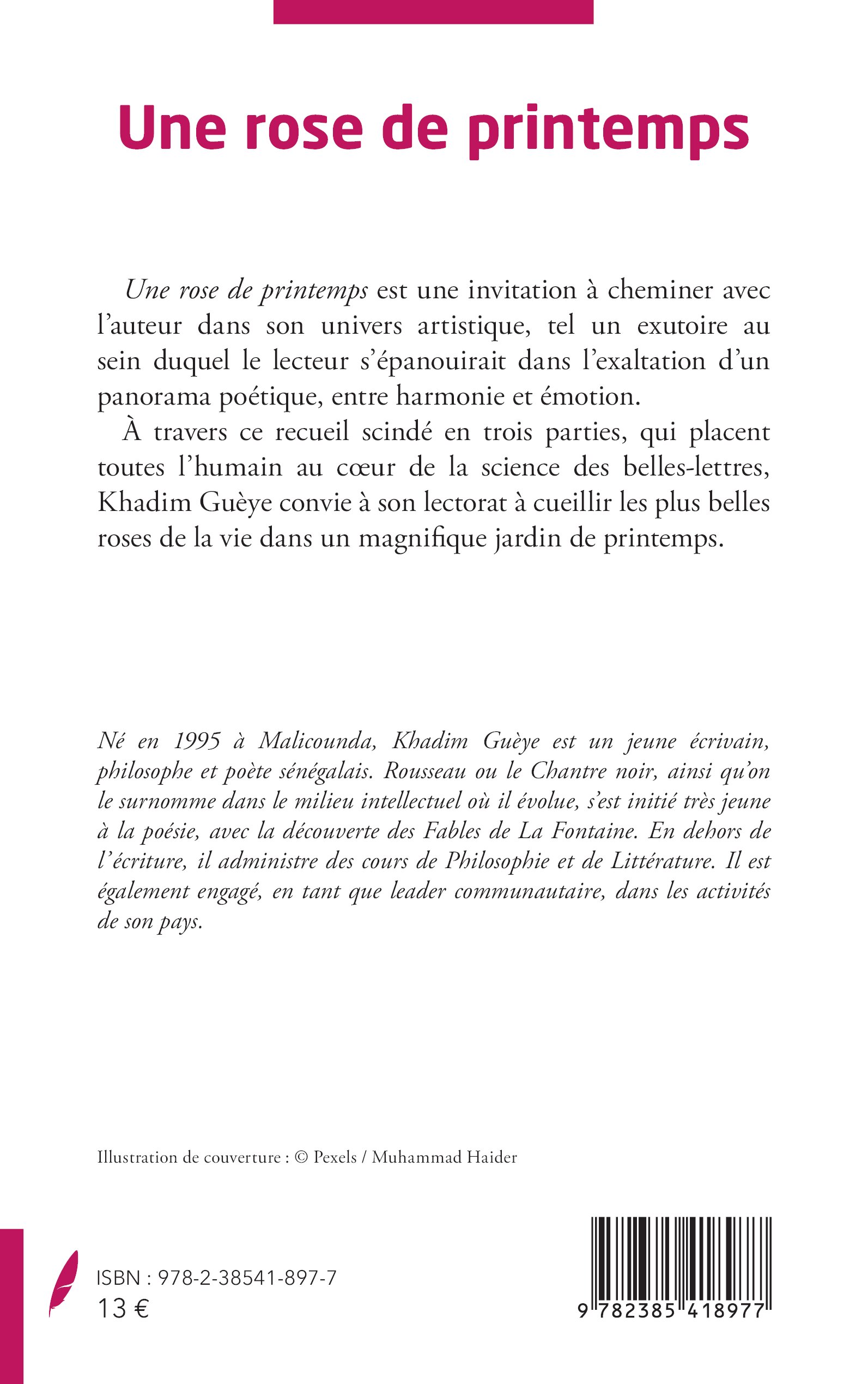 Image verso