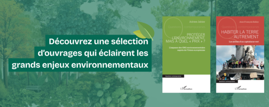 visuelEnvironnement.png