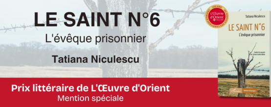 bannière site saint n6.png