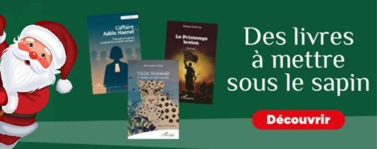 Des livres à mettre sous le sapin.jpg