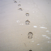 LES DERNIÈRES ACTUALITÉS - mon corps ce poème