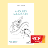 LES DERNIÈRES ACTUALITÉS - Yannick Dupagne publie Anguilles sous roche : un roman entre croyances et désillusions africaines