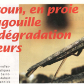 LES DERNIÈRES ACTUALITÉS - Le Cameroun, en proie à la magouille...