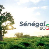 LES DERNIÈRES ACTUALITÉS - Sénégal 2050 à l’épreuve de la compétition régionale : comment attirer et retenir les géants internationaux