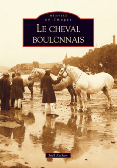 Cheval boulonnais (Le)
