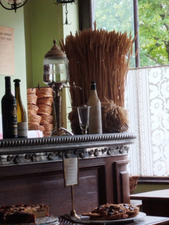 Conférences grand public