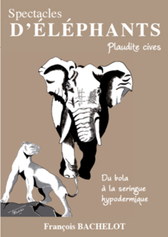 Spectacles d'éléphants