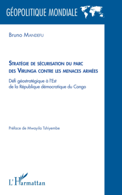 Stratégie de sécurisation du parc des Virunga contre les menaces armées