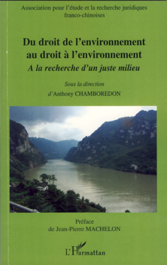 Du droit de l'environnement au droit à l'environnement