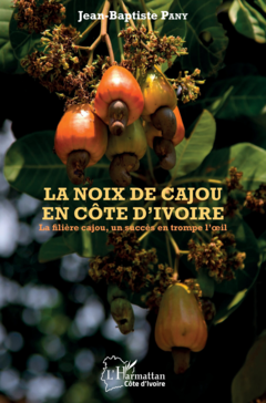 La noix de cajou en Côte d'Ivoire