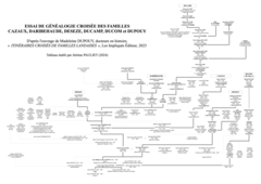 ESSAI DE GÉNÉALOGIE CROISÉE DES FAMILLES CAZAUX, DARIBEHAUDE, DESEZE, DUCAMP, DUCOM et DUPOUY