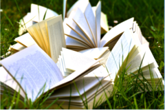 Un livre un auteur