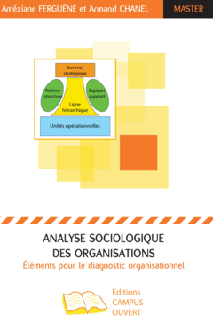 Analyse sociologique des organisations