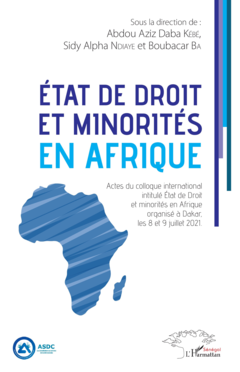 État de droit et minorités en Afrique