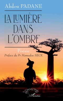 La lumière dans l’ombre