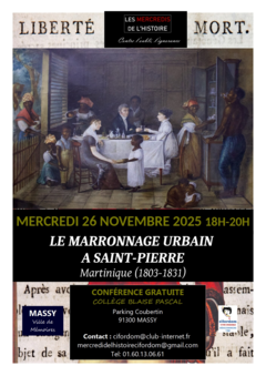 Le marronnage urbain à St-Pierre de la Martinique