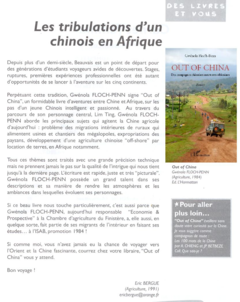 Les tribulations d'un Chinois en Afrique