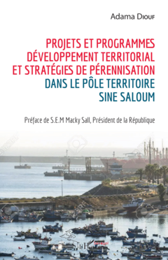 Projets et programmes de développement territorial et stratégies de pérennisation