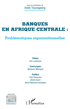 Banques en Afrique centrale : problématiques organisationnelles