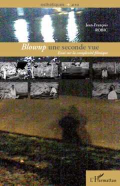 <em>Blowup</em> une seconde vue