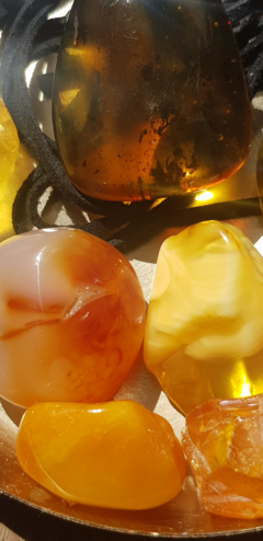 The Thrill of Amber - Germany's Historical East - A Plea for Humanity