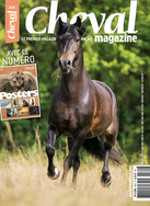 Cheval Magazine autour de 