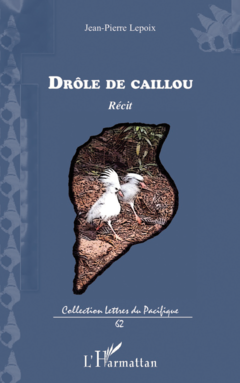 Drôle de caillou
