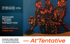 At'tentatives. Critique de la performance réalisée à partir du recueil 