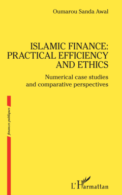 Islamic finance: practical efficiency and ethics