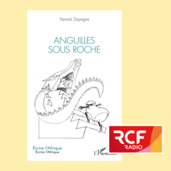 Yannick Dupagne publie Anguilles sous roche : un roman entre croyances et désillusions africaines