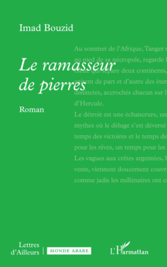 Le ramasseur de pierres