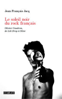 Le soleil noir du rock français