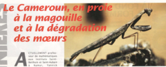Le Cameroun, en proie à la magouille...