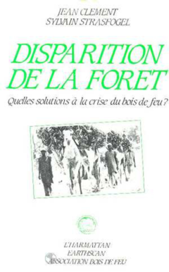 Disparition de la forêt - Quelles solutions à la crise du bois de feu en Afrique ?