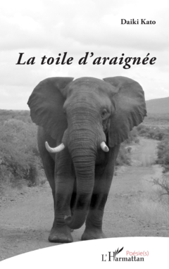 La toile d'araignée