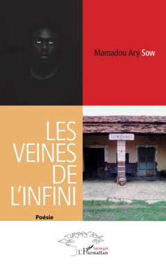 Les veines de l'infini