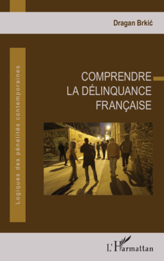 Comprendre la délinquance française