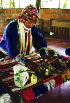 TRANCE AND SHAMANIC CURE ON THE SOUTH AMERICAN CONTINENT: PSYCHOPHARMACOLOGICAL AND NEUROBIOLOGICAL INTERPRETATIONS, ANTHROPOLOGY OF CONSCIOUSNESS, VOL. 21, ISSUE 1, PP. 83-105, ISSN 1053-4202, & 2010 (BY THE AMERICAN ANTHROPOLOGICAL ASSOCIATION).