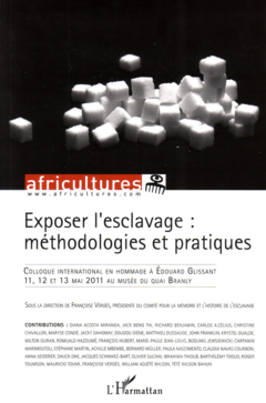 Exposer l'esclavage : méthodologies et pratiques