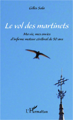 Le vol des martinets
