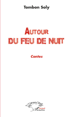 Autour du feu de nuit