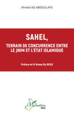 Sahel, terrain de concurrence entre le JNIM et l'Etat Islamique